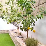 Hei Hei And Pua - Heated Pool, Priv Parking, Fibre Net, Palm-mar