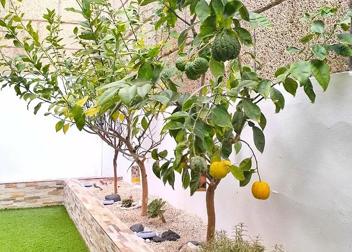 Hei Hei And Pua - Heated Pool, Priv Parking, Fibre Net, פאלם-מאר